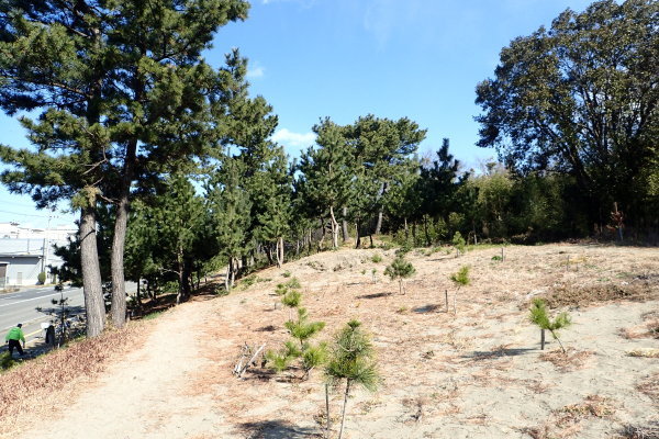 c0367107_13382831.jpg