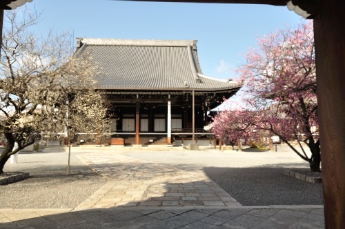 興正寺_d0098810_22471254.jpg