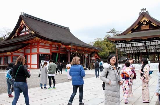 八坂神社　花ざかり？_e0048413_21054246.jpg