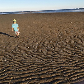 小沢健二 「流動体について」 (2017)_c0048418_14154102.jpg