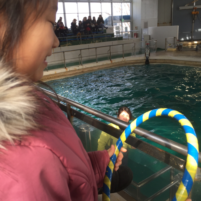 能登島水族館_f0170422_08013567.jpg