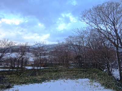 c0204725_085059.jpg