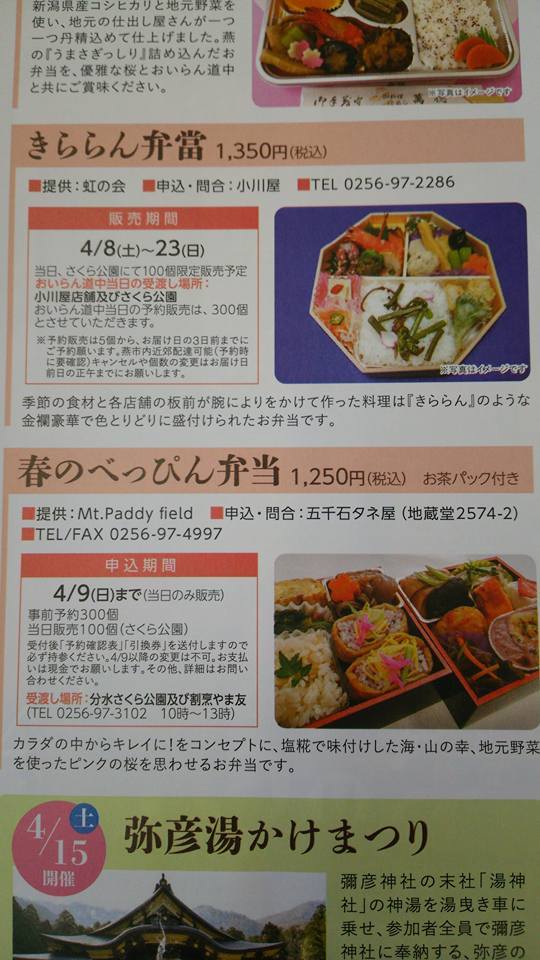 分水おいらん道中で迷うお弁当選び! きららん弁當 vs 春のべっぴん弁当_b0237229_18031812.jpg
