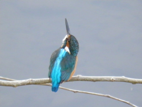 c0338136_16315359.jpg