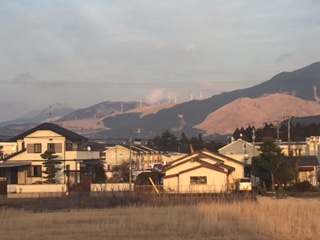 熊本地震の其の後梅が満開です_d0009738_4293448.jpg