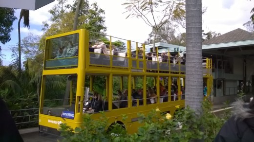 サンディエゴ ～サンディエゴ動物園（１）～_e0351841_17204926.jpg