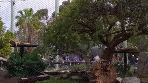 e0351841_17222502.jpg