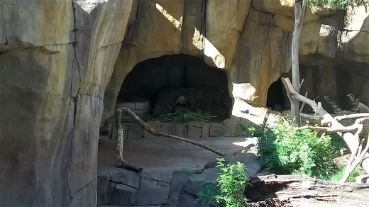 e0351841_17413396.jpg