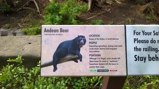 サンディエゴ ～サンディエゴ動物園（１）～_e0351841_18033581.jpg