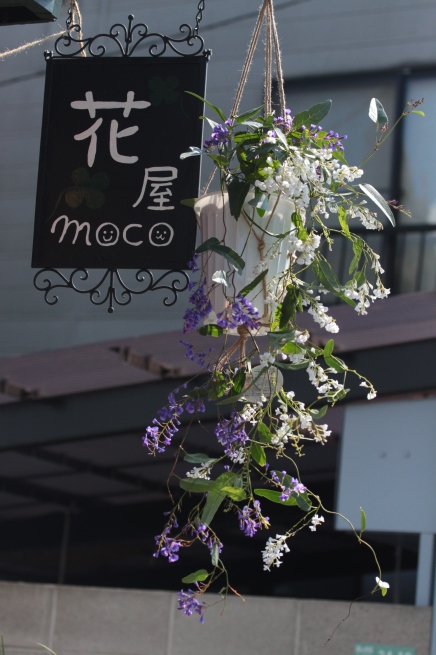 小町藤 育て方 目黒区 都立大の 花屋 Moco 花と 植物で楽しい毎日 一人で全力で営業中