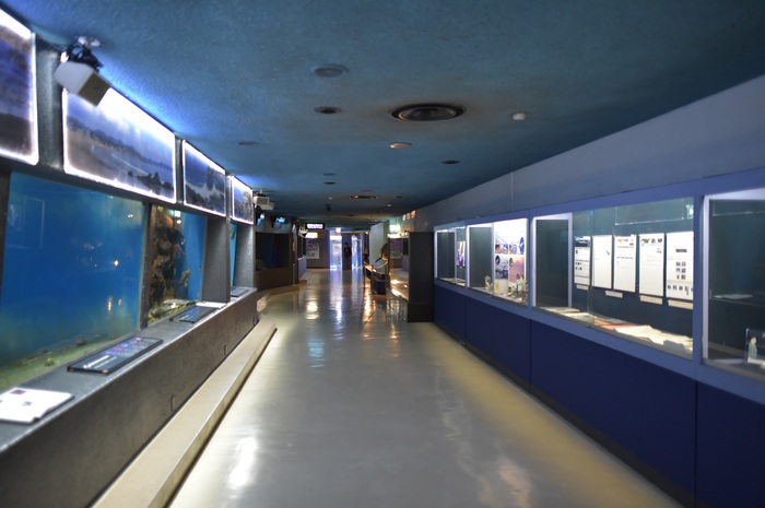 d0154151_1837127.jpg