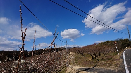 a0208560_15573082.jpg