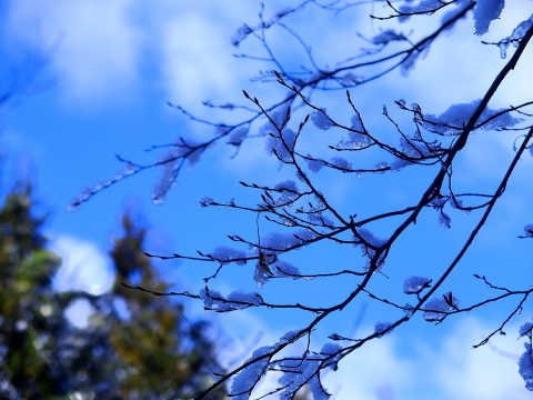 空の蒼・・川の青_f0327061_19375167.jpg