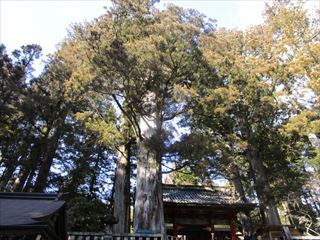 d0045362_21060991.jpg