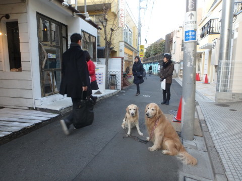 f0052277_01540183.jpg