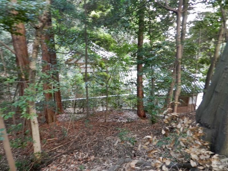 阿為神社の中の他の神社。_c0212783_05232013.jpg