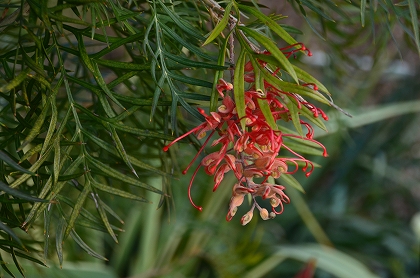 c0229483_2340275.jpg