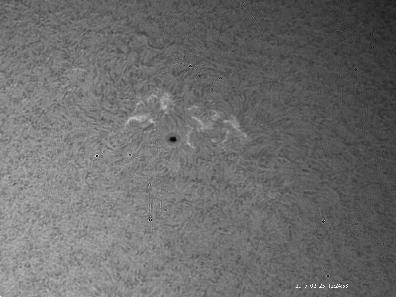 2月25日の太陽_e0174091_15250820.jpg