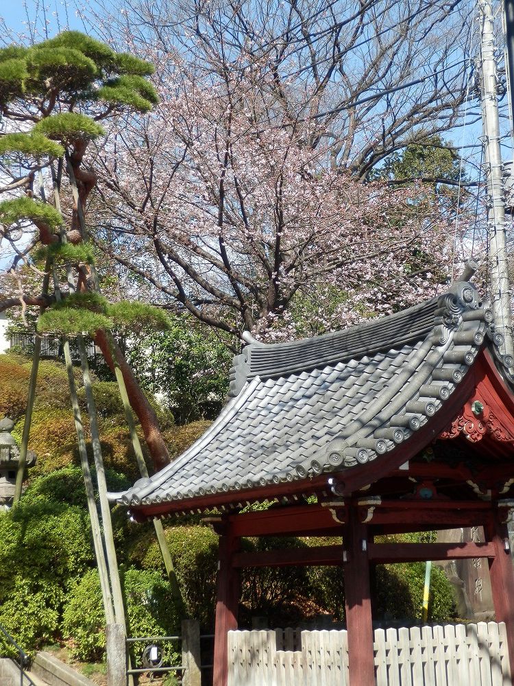 スズキ バレーノ Cmの風景地から線香の香りとツタのからまるキャンパスへ クルーカットと正ちゃん帽 スズキ バレーノ Cmの風景地から線香の香りとツタのからまるキャンパスへ クルーカットと正ちゃん帽