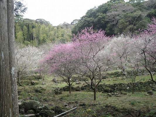 f0187402_19425045.jpg