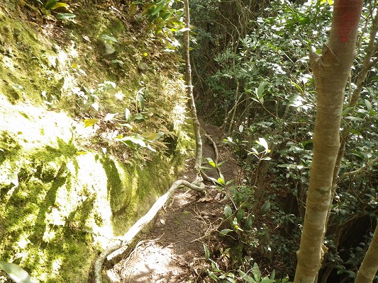 f0187402_19441520.jpg
