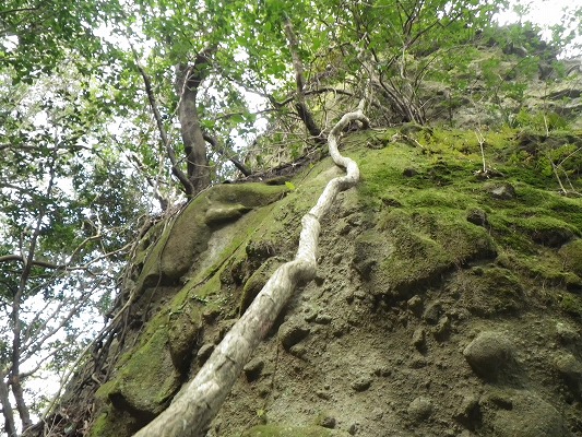 f0187402_19442523.jpg