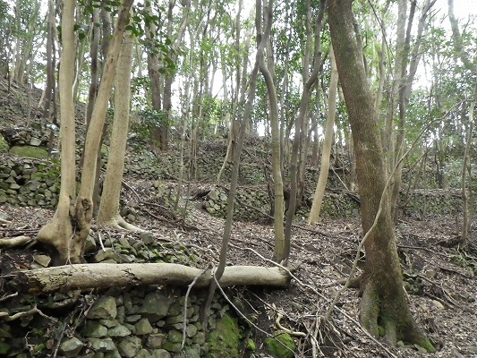 f0187402_1944351.jpg