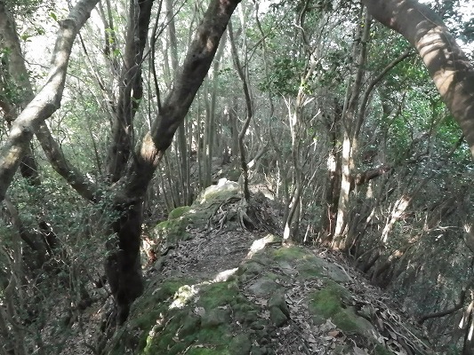f0187402_1944622.jpg