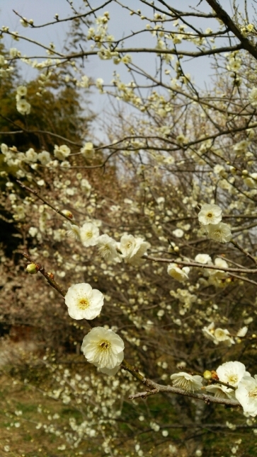 c0016208_01405323.jpg