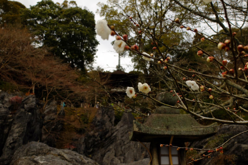 石山寺へ行って来ました_b0045109_22371880.jpg