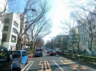 行動範囲は月末らしく?!_d0091909_9553026.jpg
