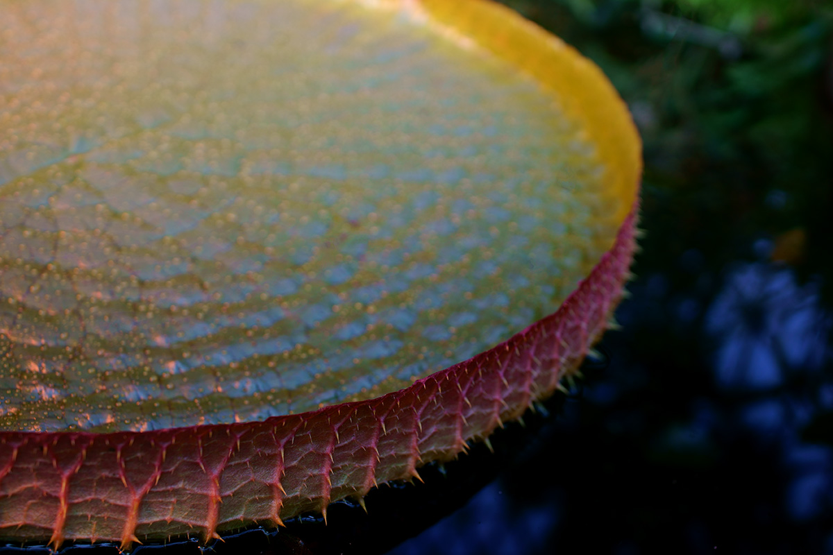 c0065410_21461482.jpg