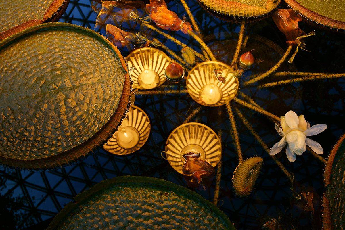c0065410_21524486.jpg