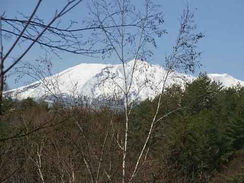 e0001110_20221711.jpg