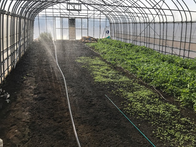 シンフォニエッタみよし ピカいちさん の 『雨ニモマケズ』