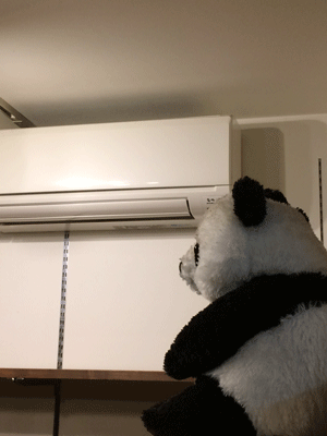 e0219819_19260258.gif