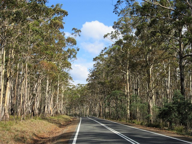 Traveling in Tasmania by solo Japanese woman ＜The second volume of Day 7＞世界遺産の豪農邸とLeake湖_f0308721_21591672.jpg