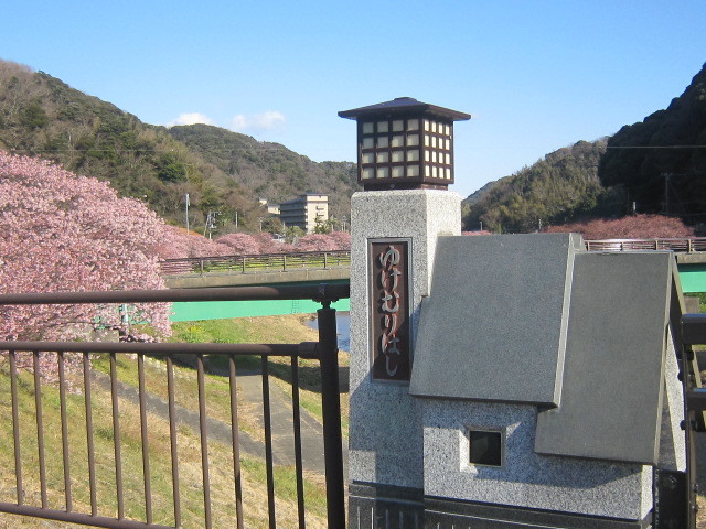 ♪一足早い春★河津桜＆菜の花_d0162225_16093573.jpg