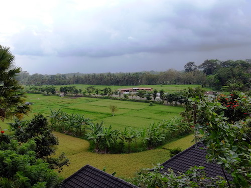 2016年10月バリ島旅行  Tegal Sariと周辺の変化_c0181131_21205875.jpg