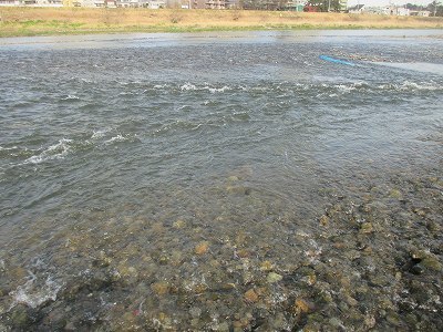f0321433_20223592.jpg
