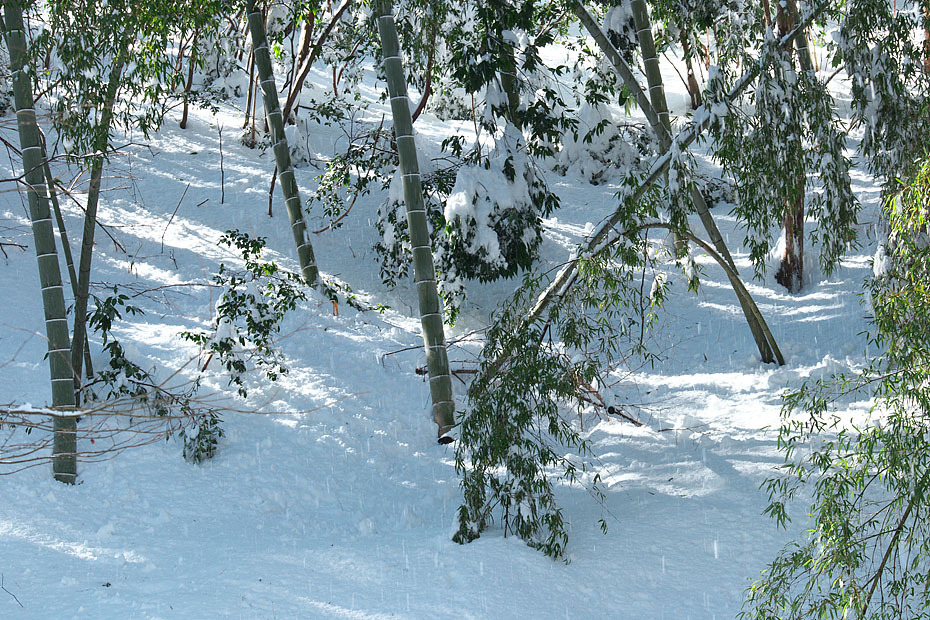 c0067040_21380916.jpg