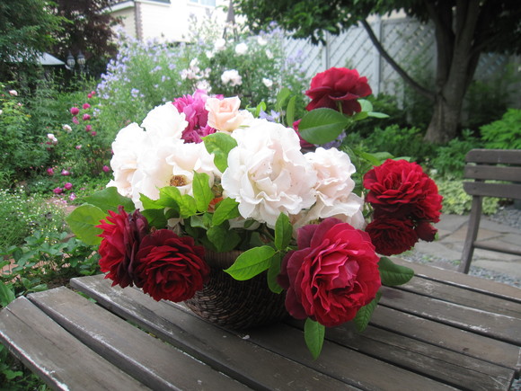 お庭が薔薇で綺麗になってきた~_a0279743_19145581.jpg