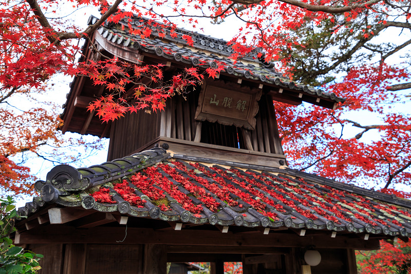 京都の紅葉2016 禅華院の秋_f0155048_2321228.jpg