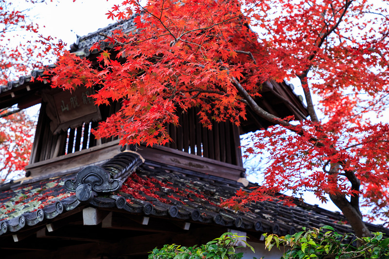 京都の紅葉2016 禅華院の秋_f0155048_23214462.jpg