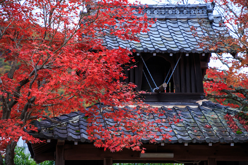 京都の紅葉2016 禅華院の秋_f0155048_23215172.jpg