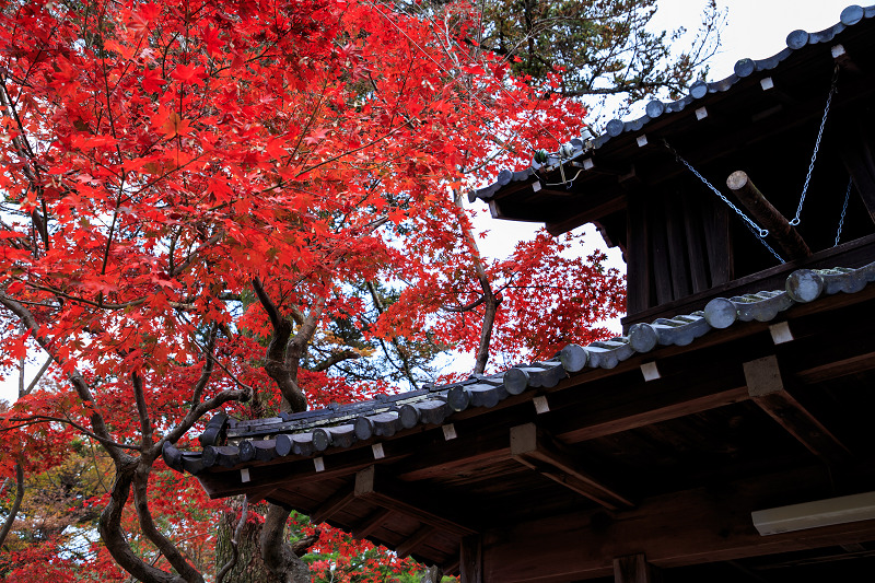 京都の紅葉2016 禅華院の秋_f0155048_2322826.jpg