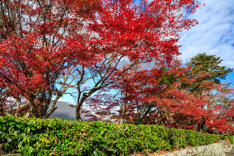 京都の紅葉2016 禅華院の秋_f0155048_232302.jpg