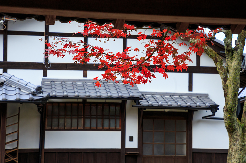 京都の紅葉2016 禅華院の秋_f0155048_23233894.jpg