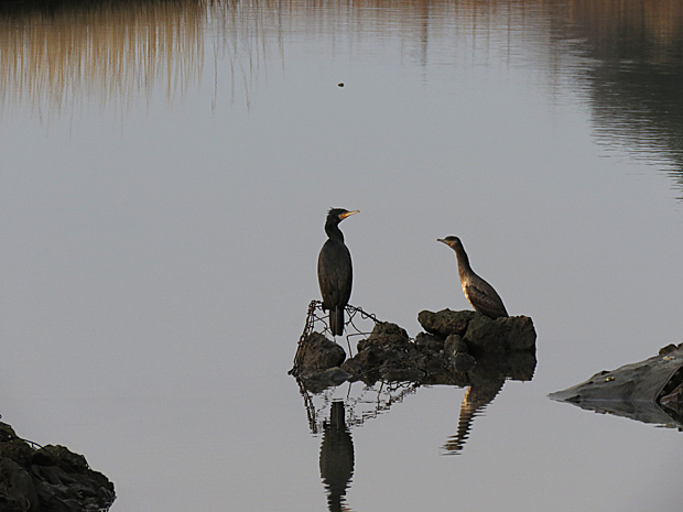 f0214649_22201663.jpg