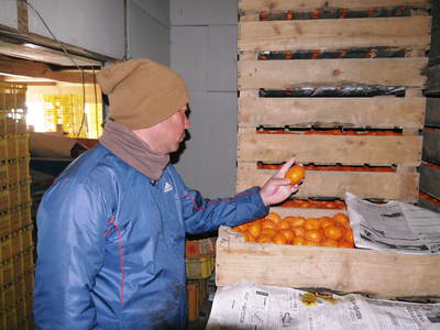 山鹿のみかん 社方園 平成30年度からのに向け、貯蔵と出荷の様子を取材してきました_a0254656_17551632.jpg